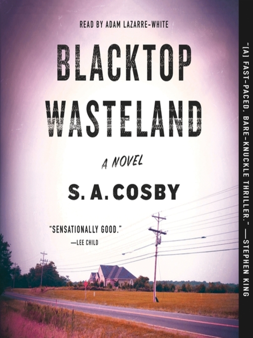 Title details for Blacktop Wasteland by S. A. Cosby - Wait list